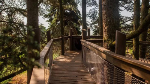 Belevaló apás program – Szörpkóstoló a Folly Arborétumban 8