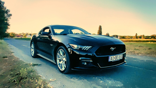Vidd el! Éld át! Mustang bérlés Dunavarsányban 4