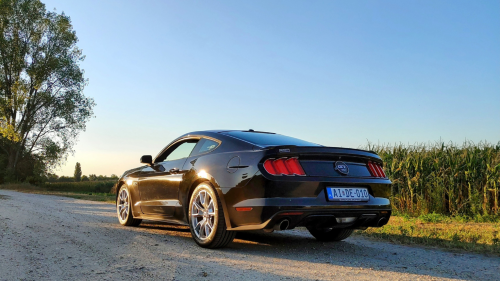 Vidd el! Éld át! Mustang bérlés Dunavarsányban 5