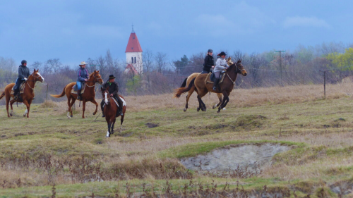 Emese túra - 1 napos túralovaglás Akhal Teke lovakon Ópusztaszeren 13