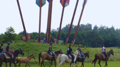Emese túra - 1 napos túralovaglás Akhal Teke lovakon Ópusztaszeren 15