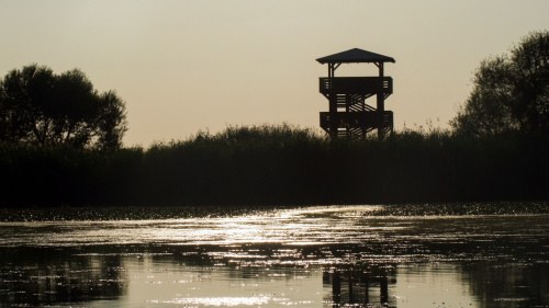 Természet, élmények, szabadság! – Tisza-tavi kenus vízitúra (Felnőtteknek) 6