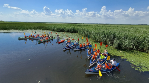 Természet, élmények, szabadság! – Tisza-tavi kenus vízitúra (Felnőtteknek) 11